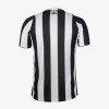 Santos FC Bortedrakt 2024-25 Kortermet